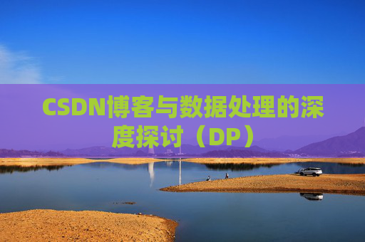 CSDN博客与数据处理的深度探讨（DP）